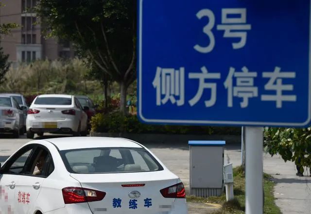 考驾照一定要花钱挨骂吗？整顿职场后零零后又要“整顿”驾校插图
