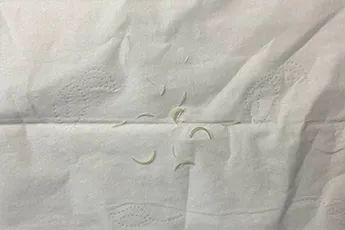 沈阳亲子鉴定需要怎样采样，可以不到现场办理？结果准确？插图3