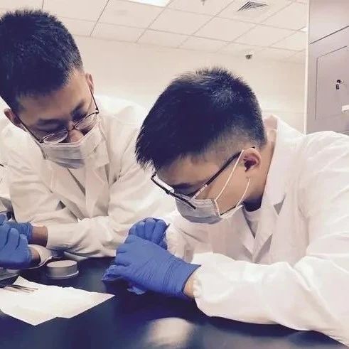 沈阳亲子DNA检测中心在采集样本时，需要注意这些事项：不建议空腹