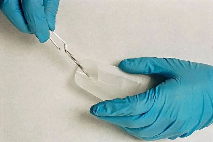 沈阳个人隐私亲子鉴定在家采样邮寄DNA样本，结果准确吗？插图1