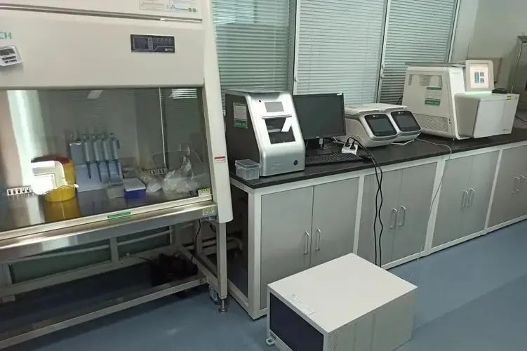 在沈阳做亲子鉴定之前，必须了解自己的鉴定需求：办理流程不一样插图