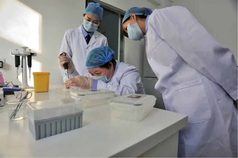 沈阳亲子DNA检测中心客户体验具体包括以下方面，正规鉴定机构插图
