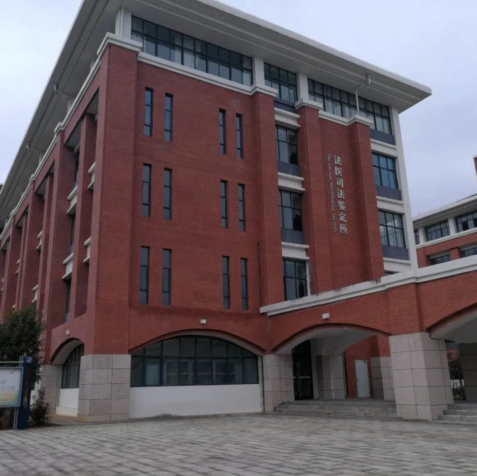 沈阳泰子基因亲子鉴定机构地址，亲民价格亲子鉴定中心，国庆优惠