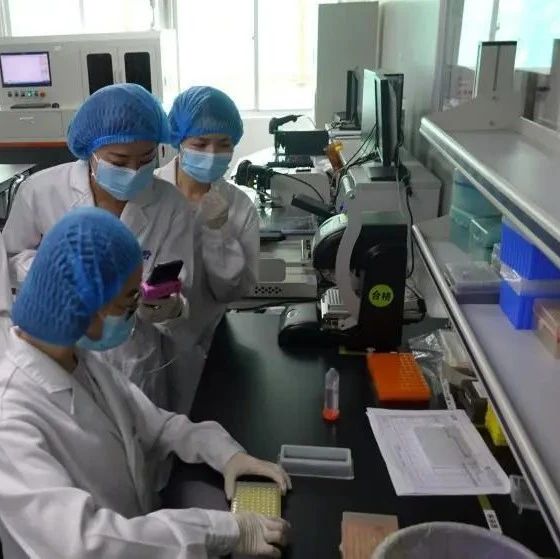 有没有其他关于沈阳亲子鉴定的信息？2023最全亲子鉴定机构