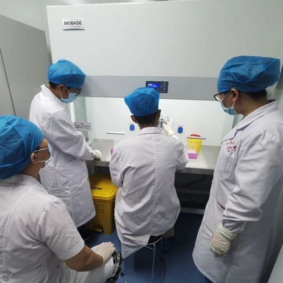 沈阳泰子基因隐私亲子关系认定，拔下来的头发可以做亲子鉴定？
