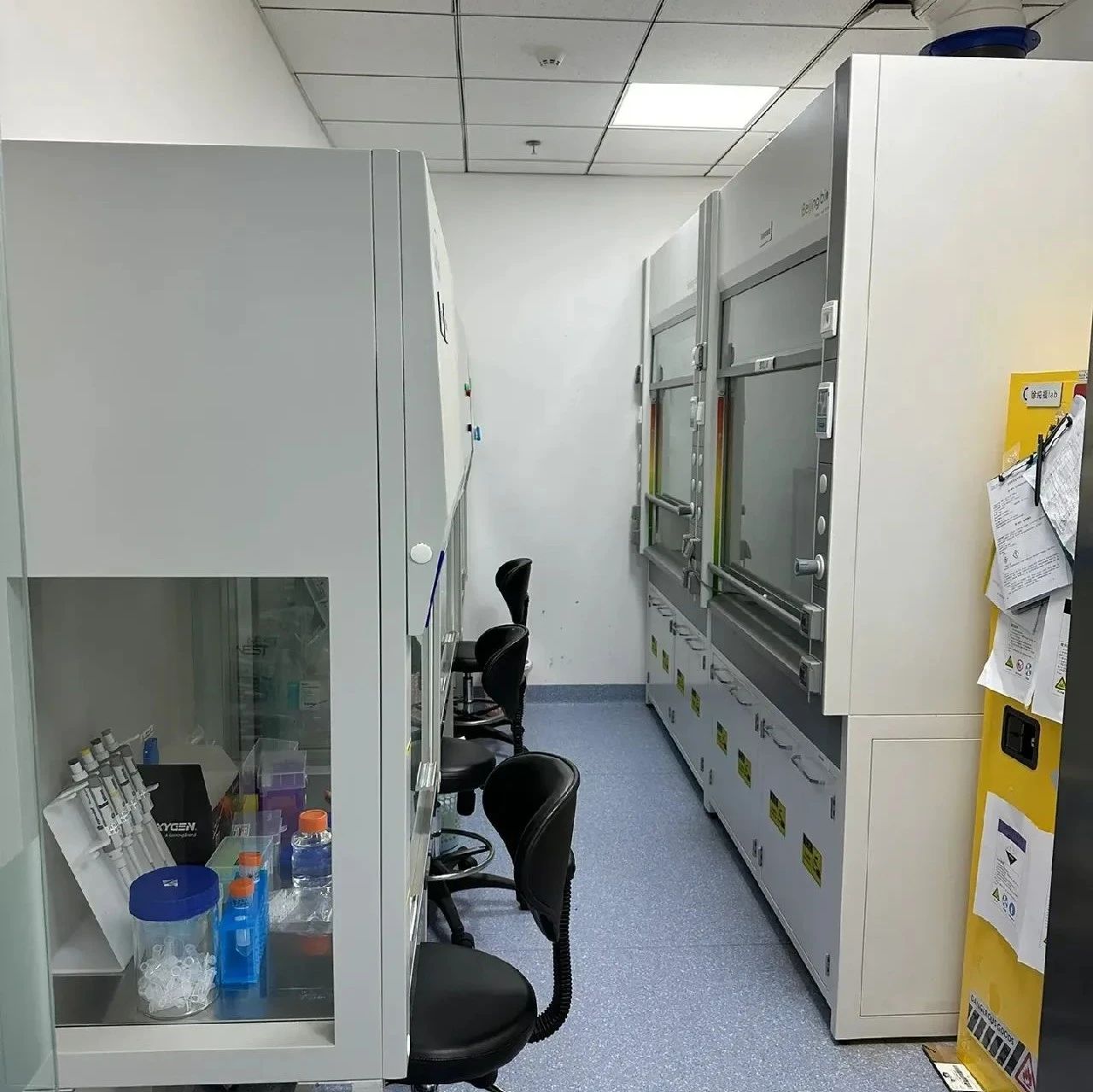 能推荐几个专业的沈阳孕期胎儿亲子鉴定机构吗？附近有停车场的