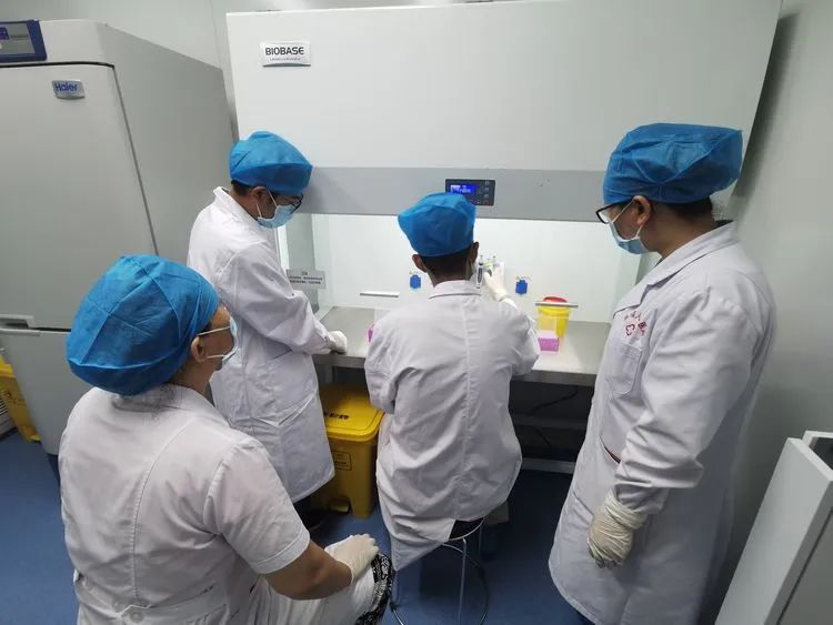 沈阳泰子基因隐私亲子关系认定，拔下来的头发可以做亲子鉴定？插图