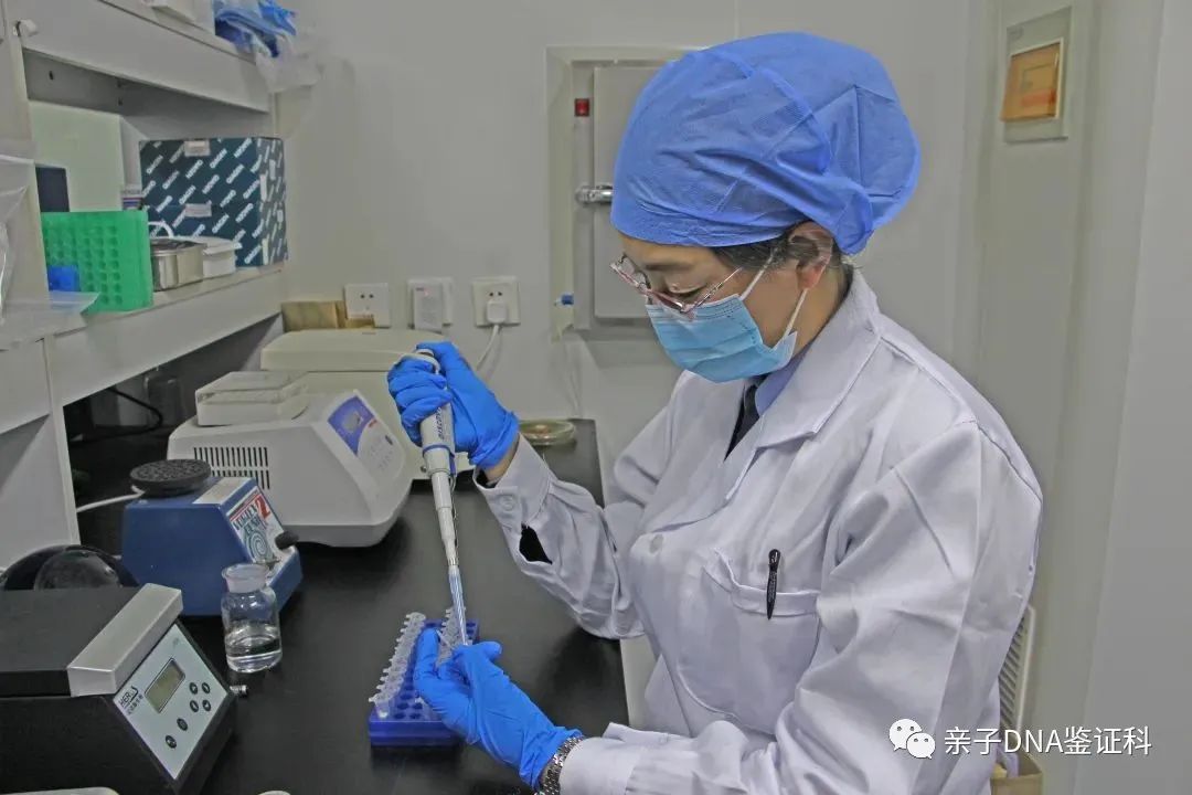 沈阳亲子关系认定机构大全，遗传病基因检测实验室，结果4天出插图1
