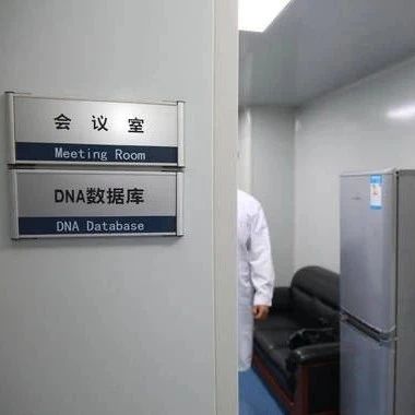 沈阳亲子鉴定机构地址，隐私亲子鉴定可以在家采样邮寄-泰子基因