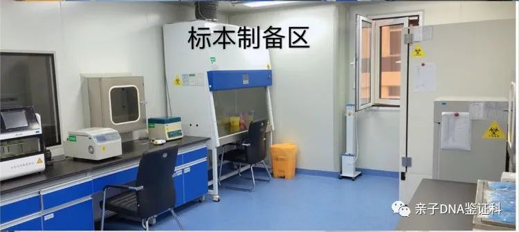 沈阳亲子鉴定机构，孕期6周即可现场采样检测DNA-泰子基因插图