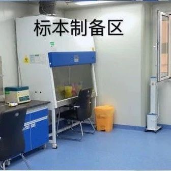 沈阳亲子鉴定机构，孕期6周即可现场采样检测DNA-泰子基因