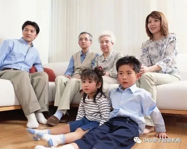 沈阳亲缘关系鉴定中心地址，祖孙，叔侄可以做亲缘关系鉴定插图