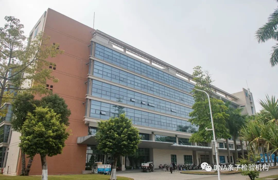 沈阳亲子鉴定出具结果大概要多长时间，正规DNA亲子鉴定中心插图