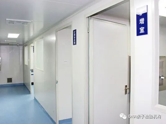 沈阳没有上户司法亲子鉴定机构，网友们都去哪里做的插图