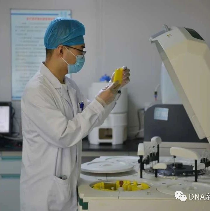 沈阳做亲子鉴定机构地址在哪里，私底下了解结果需要做什么鉴定