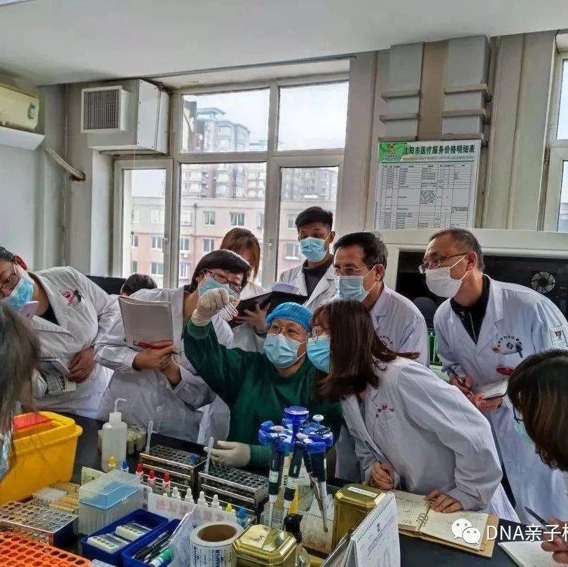 沈阳泰子基因鉴定机构提供了哪些联系方式？2023沈阳鉴定中心