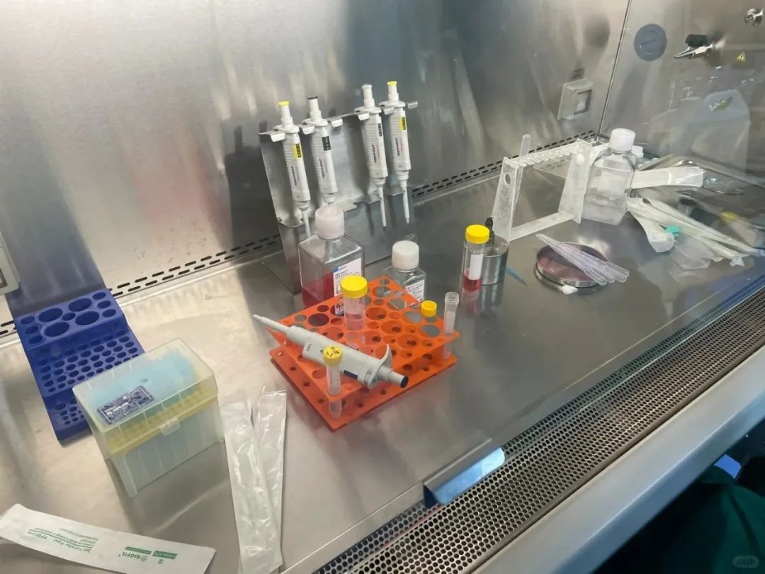 天津亲子鉴定要多少钱的费用，全国统一价？是怎样支付的插图