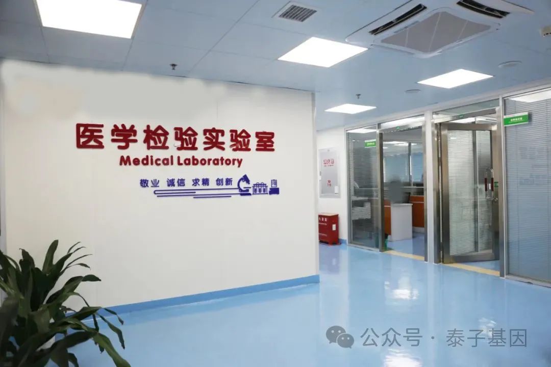 落户上海其实不止是一个户口，孩子可以在上海接受更好的教育插图