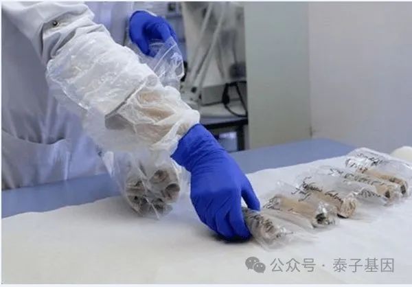 苏州亲子鉴定机构服务天花板，三大免费（采样，补样，上门）插图2