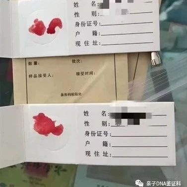 沈阳亲子鉴定在家采样送检地址，可顺丰邮寄或现场送检