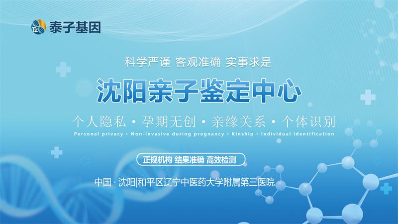 沈阳图集插图13