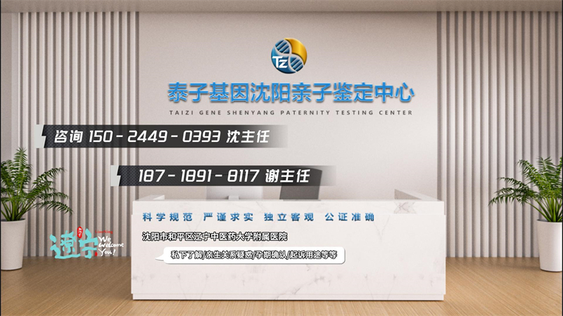沈阳图集