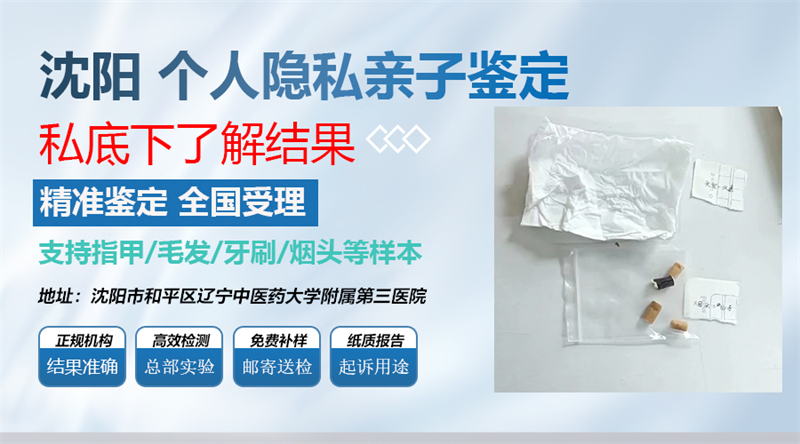 沈阳图集插图14