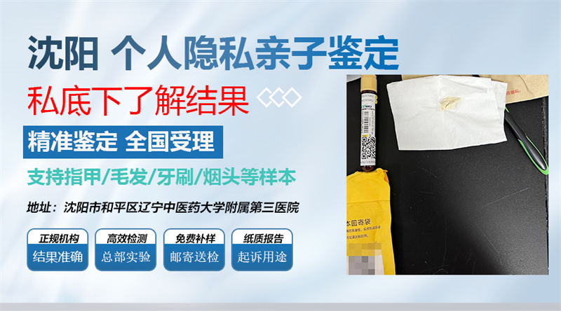 沈阳图集插图15