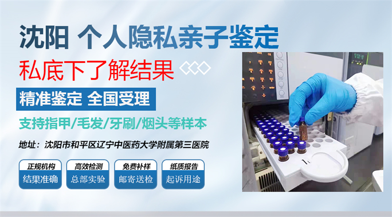 沈阳图集插图16