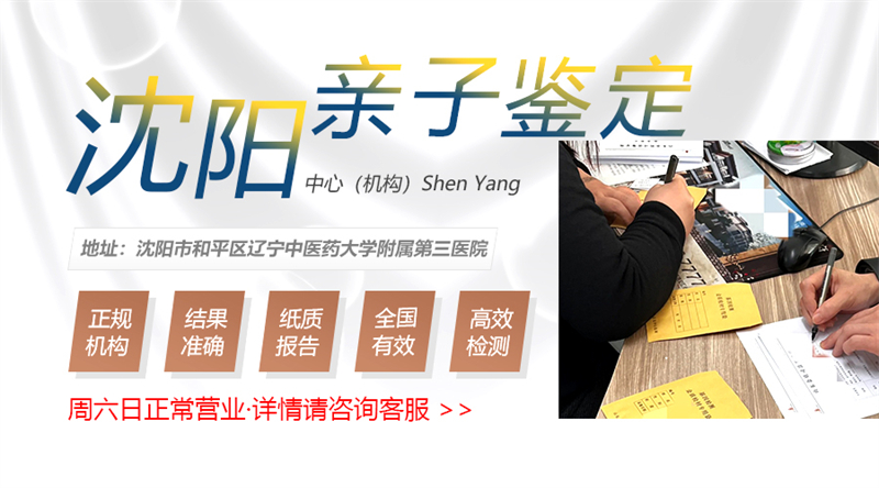 沈阳图集插图18