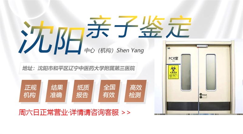 沈阳图集插图
