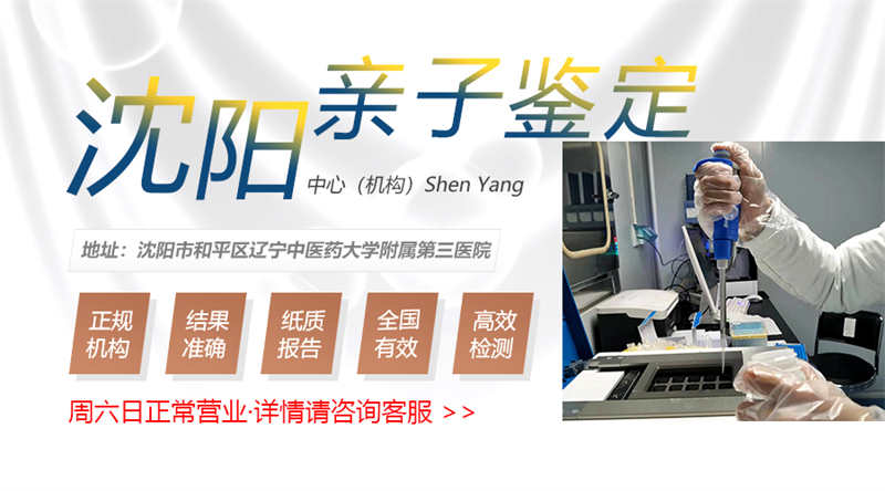 沈阳图集插图1