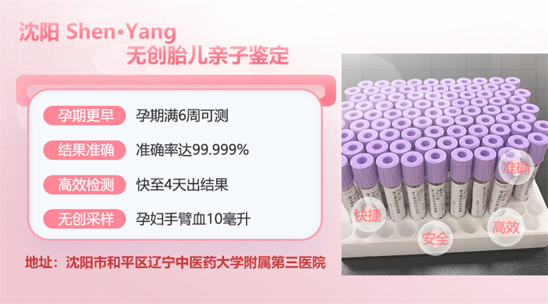 沈阳图集插图2