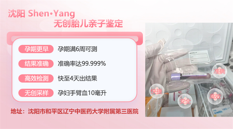 沈阳图集插图3