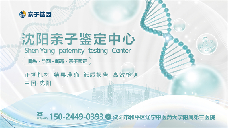 沈阳图集插图5