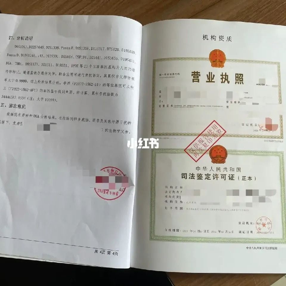 上海邮寄亲子鉴定结果的法律证据分析，结果具有法律效力？