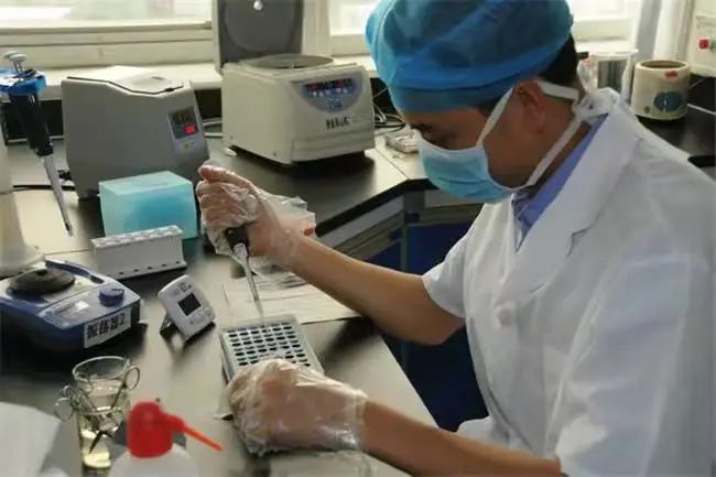 上海孕期亲子鉴定这样做就对了，安全可靠的选择，无风险的保障插图
