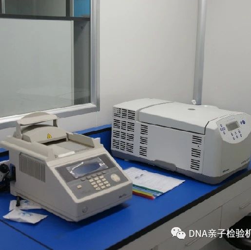 上海亲子鉴定费用最低多少钱一次，应该去哪里做亲子鉴定才靠谱