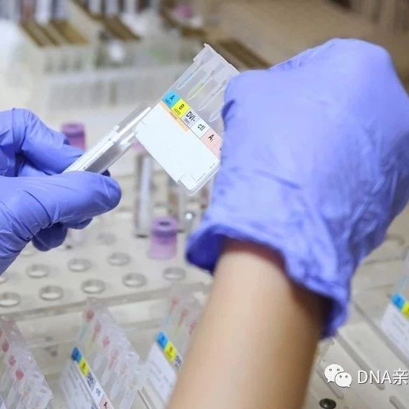 天津司法亲子鉴定的五大用途，可网上预约办理，正规专业DNA鉴定