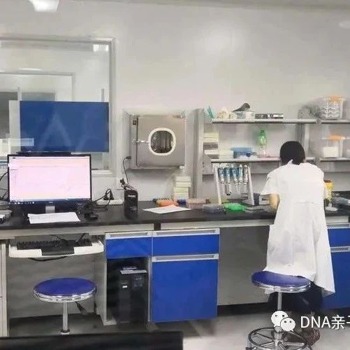 上海13家最新亲子鉴定机构，出具的报告全国有效，15分钟办理完成