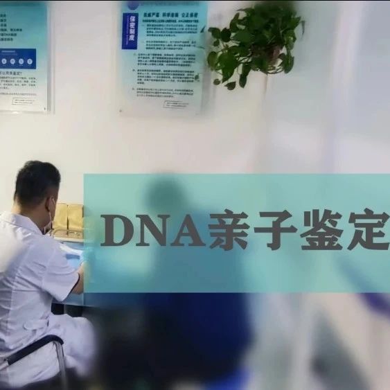 在苏州做亲子鉴定：这样做的方法才算实惠哦，一家就能搞定