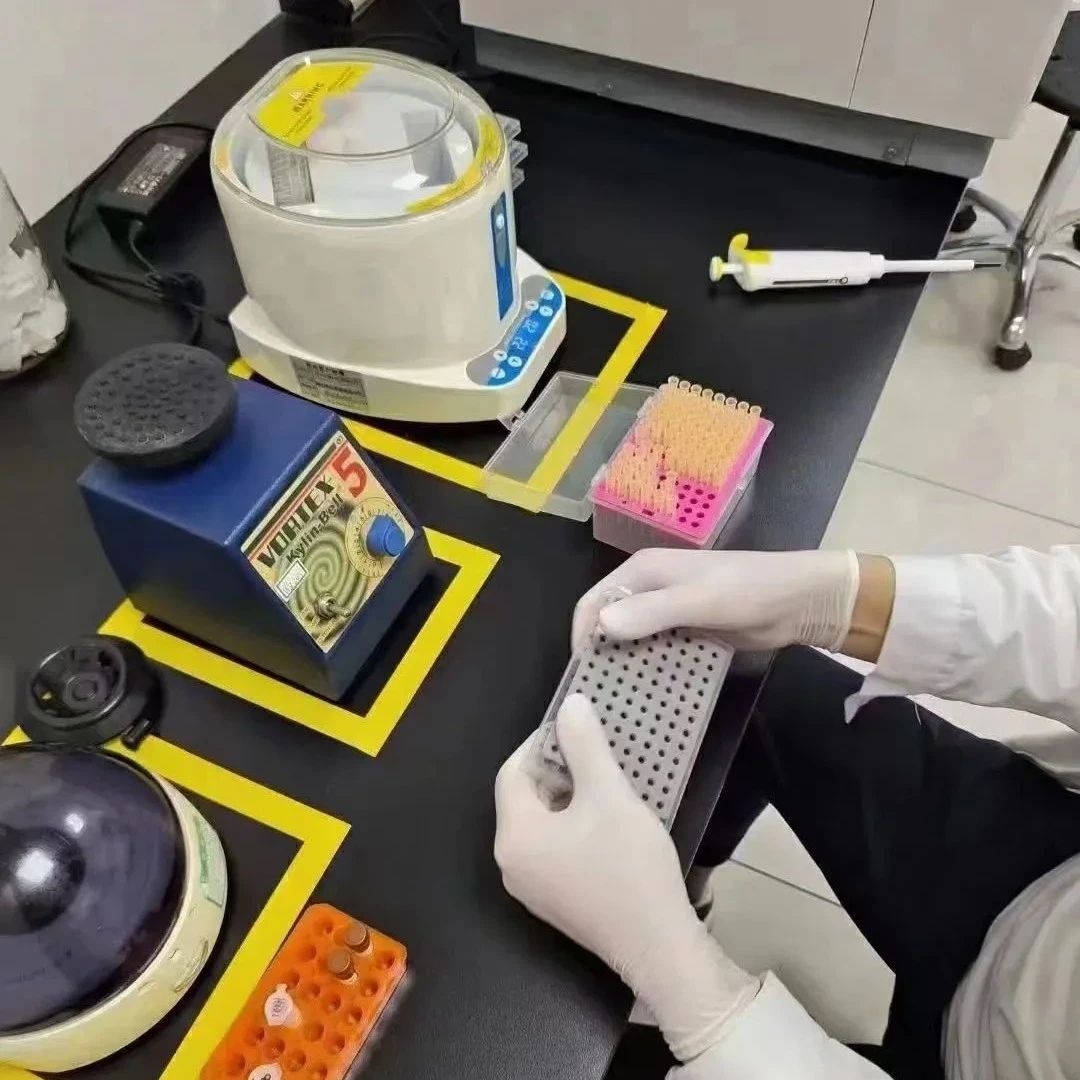 上海亲子DNA鉴定网，互联网站长创立，为网友提供亲子鉴定知识