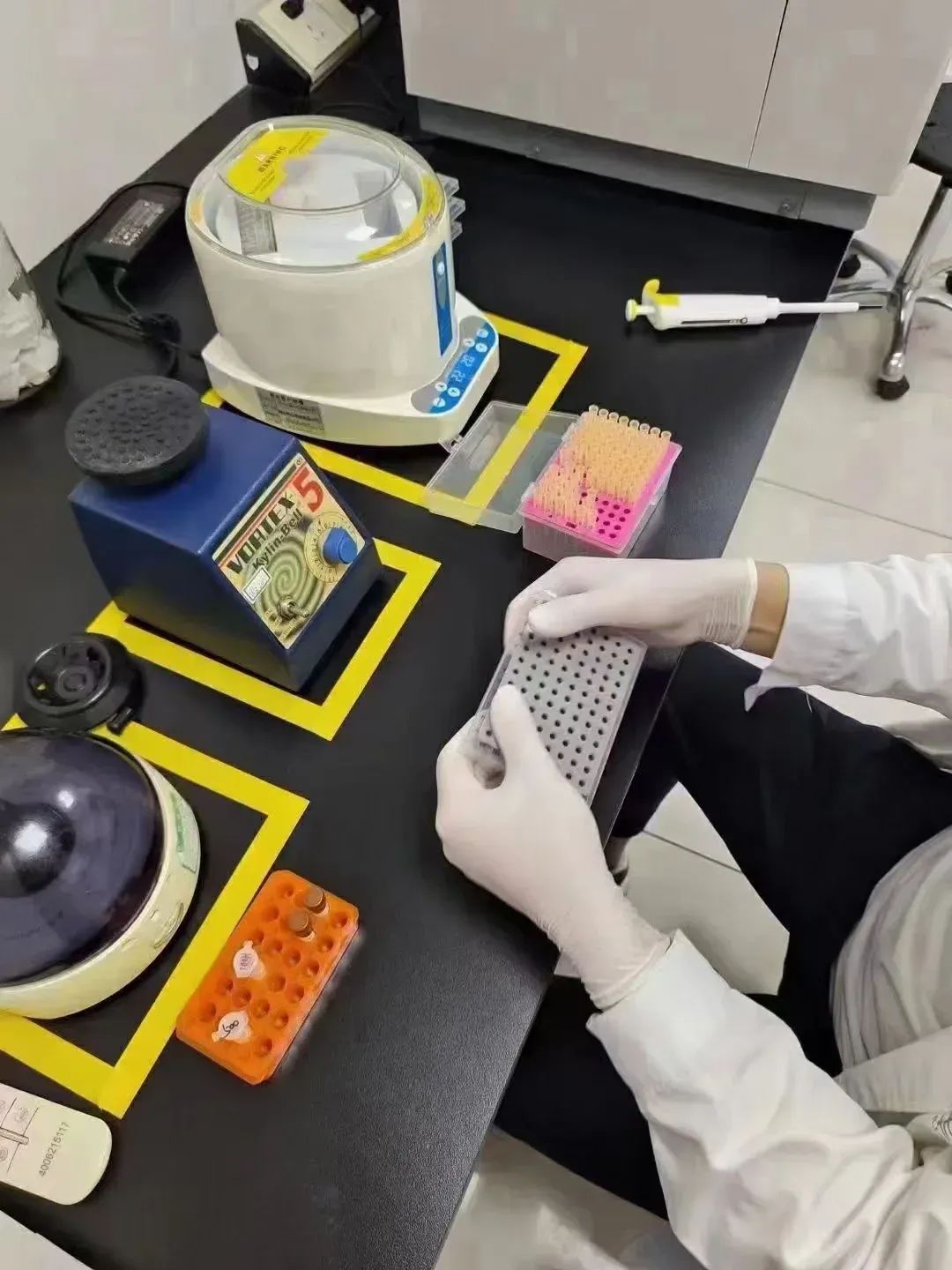 苏州亲子鉴定：拔下来的头发可以做 DNA 检测？结果出来要多长时间？插图2