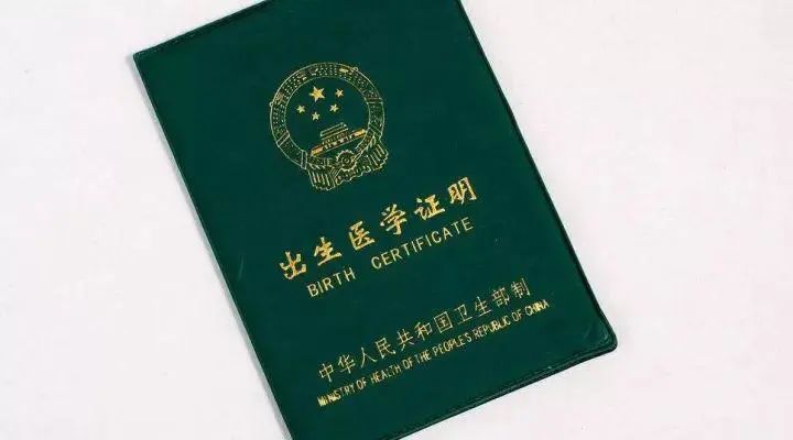 暑假快要结束啦！上海新生入学需要提供亲生关系证明材料插图1