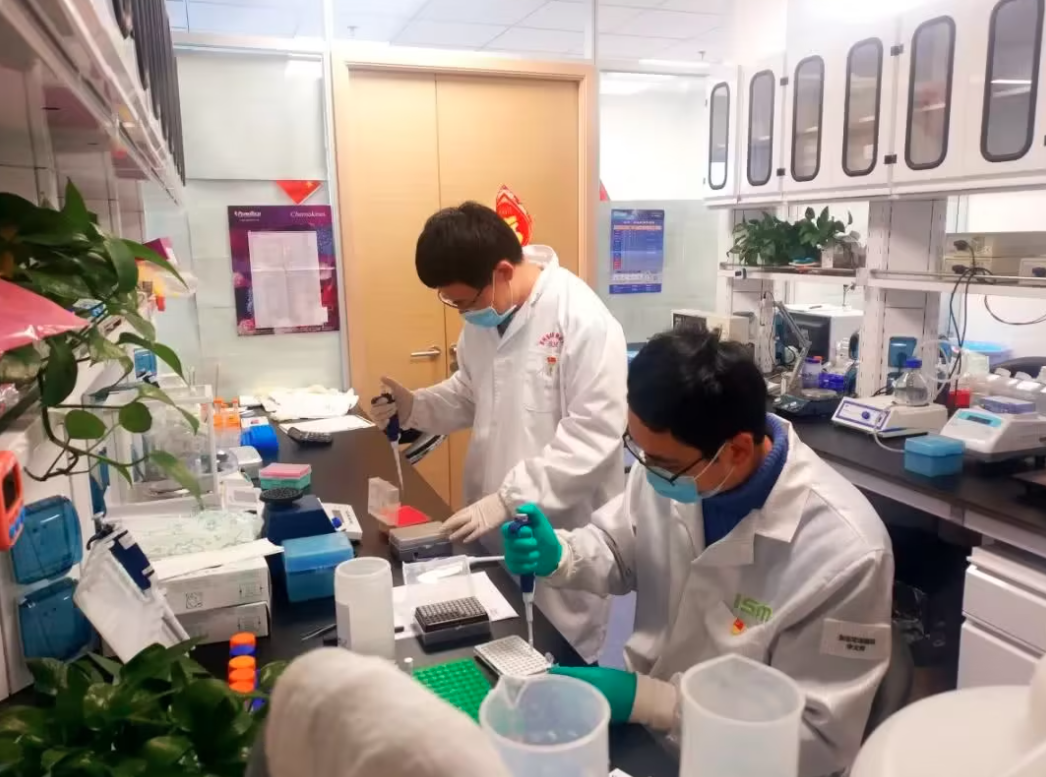 苏州司法亲子关系认定机构大全精选：上户、入学证明一步搞定插图6