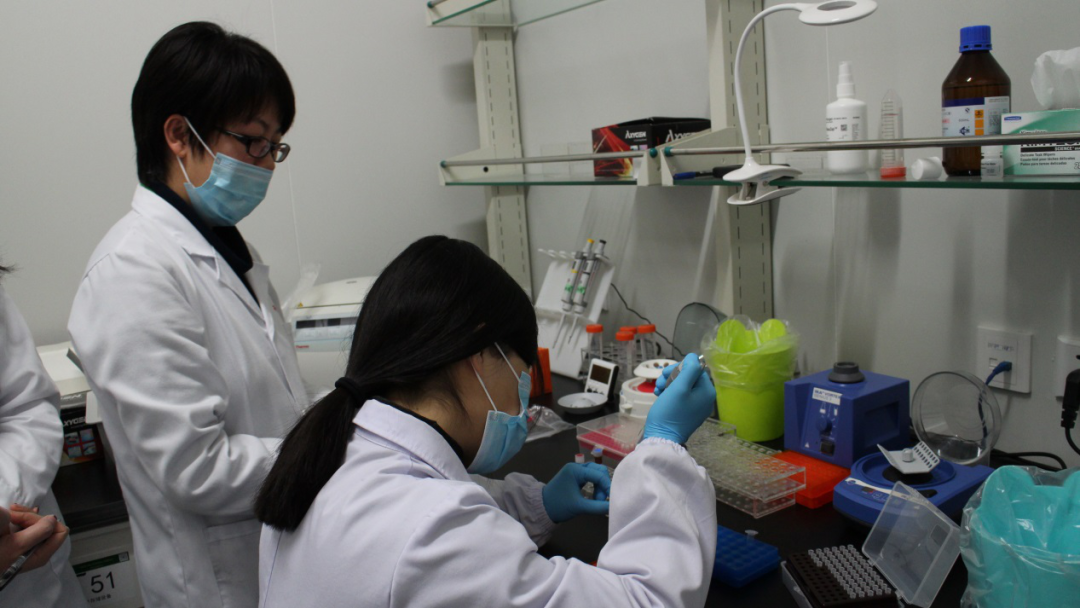 苏州个人隐私亲子关系认定流程，虎丘区一般费用是多少钱插图2