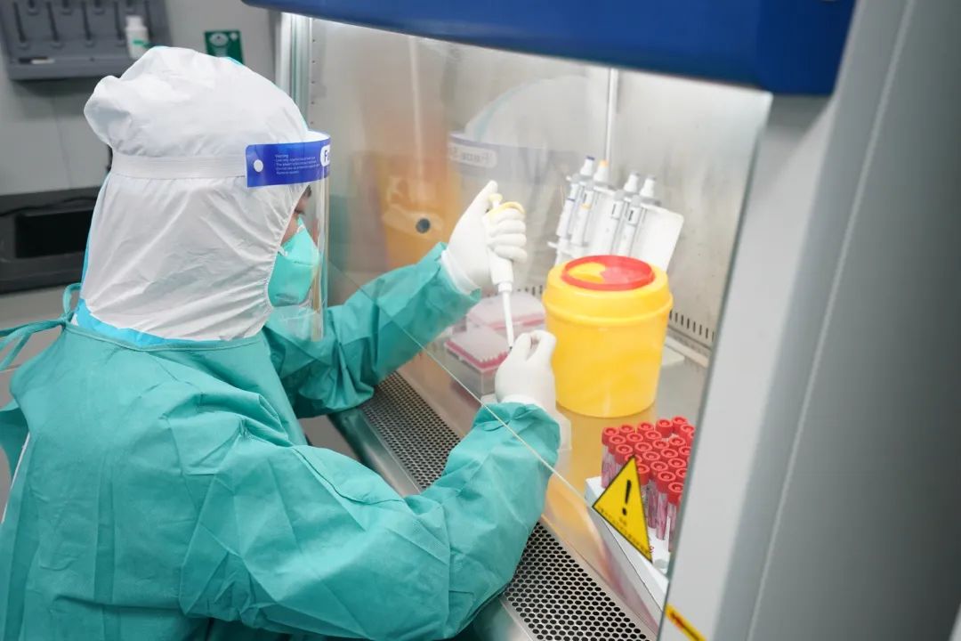 苏州个人隐私亲子关系认定流程，虎丘区一般费用是多少钱插图3
