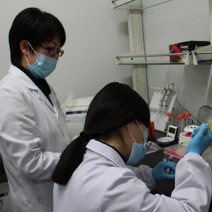苏州个人隐私亲子关系认定流程，虎丘区一般费用是多少钱