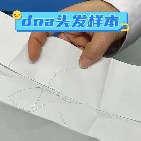 上海亲子鉴定中心在家采样头发就可以检测DNA，快至当天出结果