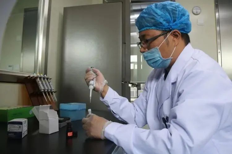苏州没有司法亲子鉴定机构，上海出具的亲子鉴定报告可以用？插图